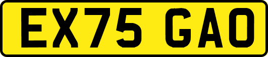 EX75GAO