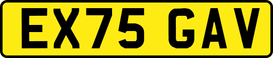 EX75GAV
