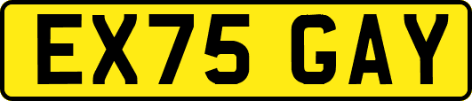 EX75GAY