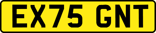 EX75GNT