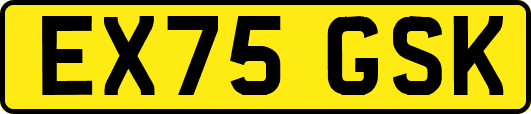 EX75GSK