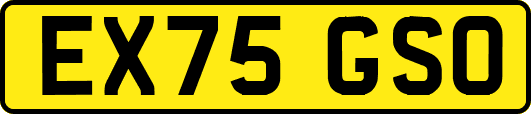 EX75GSO