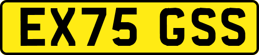 EX75GSS