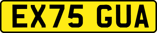 EX75GUA
