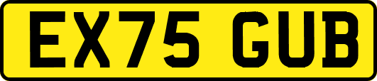 EX75GUB