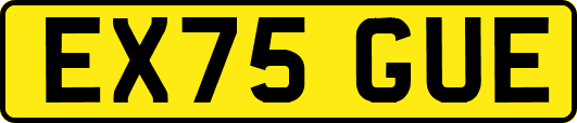 EX75GUE