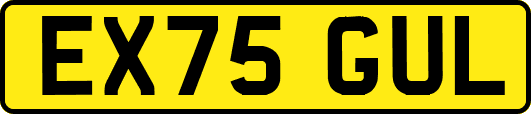 EX75GUL