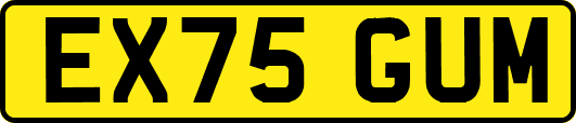 EX75GUM