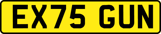 EX75GUN
