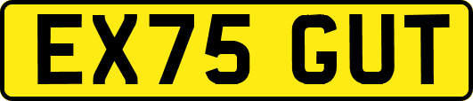EX75GUT