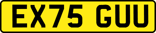 EX75GUU