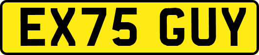 EX75GUY