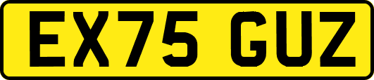 EX75GUZ