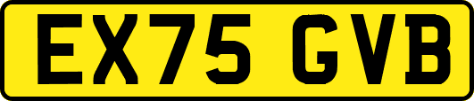 EX75GVB