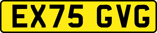 EX75GVG