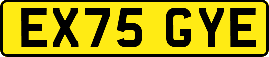 EX75GYE