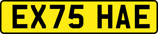 EX75HAE