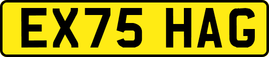 EX75HAG