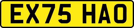 EX75HAO