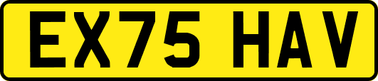 EX75HAV