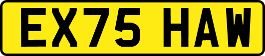 EX75HAW