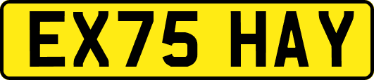 EX75HAY