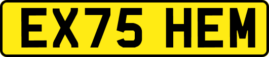 EX75HEM