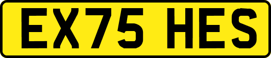 EX75HES