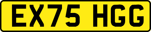 EX75HGG