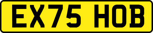 EX75HOB