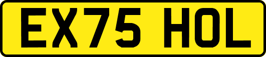 EX75HOL