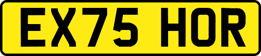EX75HOR