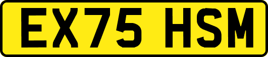 EX75HSM