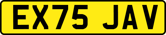 EX75JAV