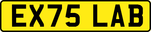 EX75LAB