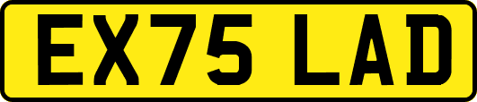 EX75LAD