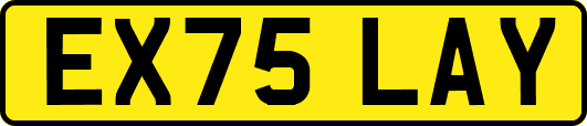 EX75LAY