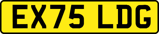 EX75LDG