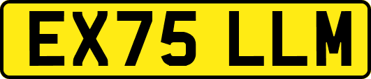 EX75LLM