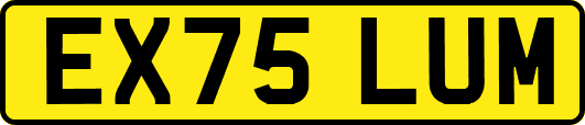 EX75LUM