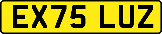 EX75LUZ