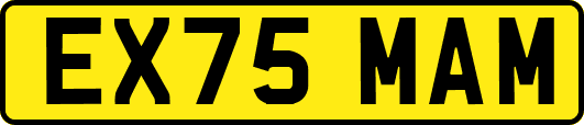 EX75MAM