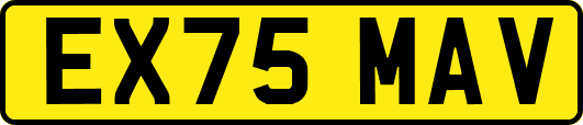 EX75MAV