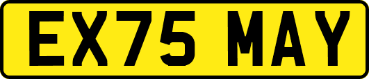 EX75MAY