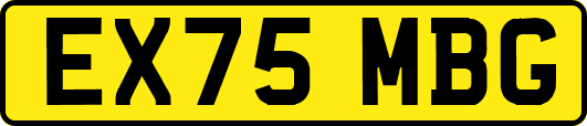 EX75MBG