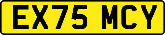 EX75MCY
