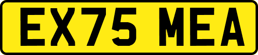 EX75MEA