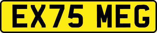EX75MEG