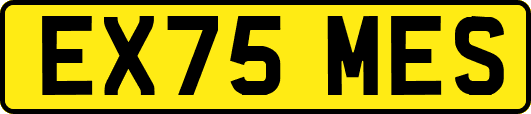 EX75MES