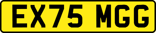 EX75MGG